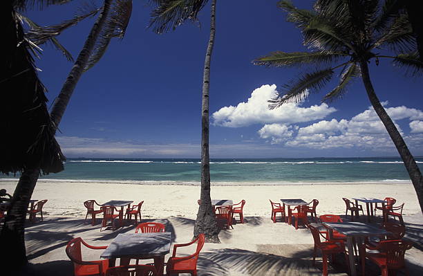 1 day zanzibar beach tour