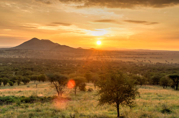 2 days private family safari tanzania