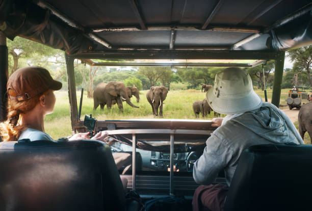 4 days honeymoon safari tanzania