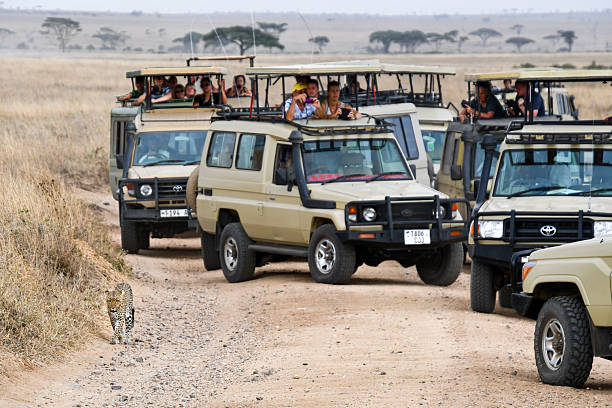 7 days family safari tanzania with kids friendly lodges
