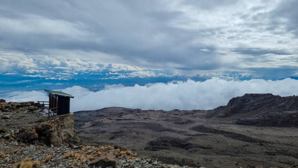 7 days lemosho group joining trek
