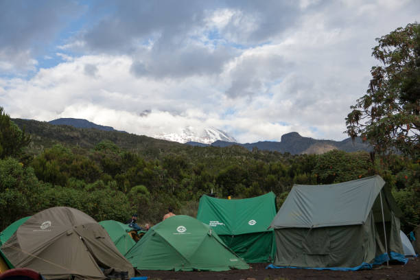 7 days machame route kilimanjaro trek