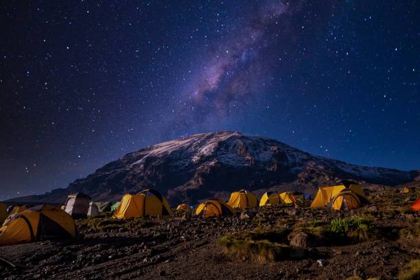 8 days group joining trek lemosho route