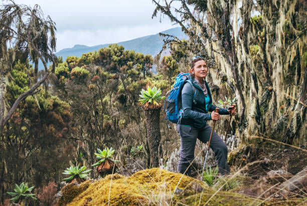 9 days northern circuit kilimanjaro trek
