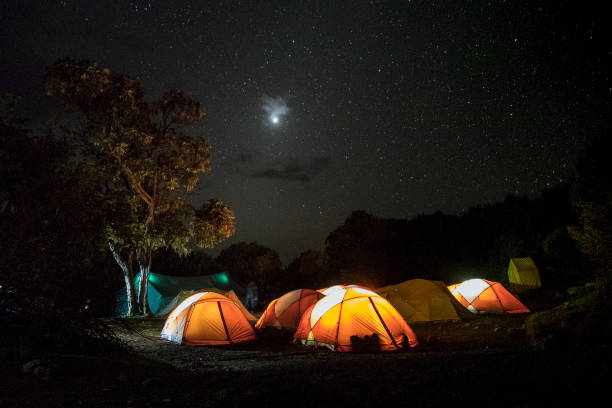 how much does it cost to climb kilimanjaro from america