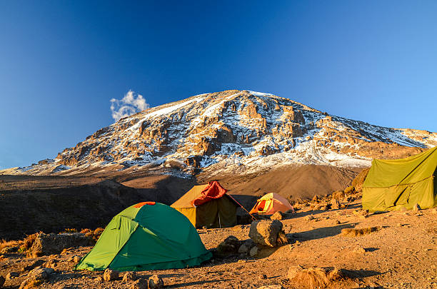 mount kilimanjaro hiking experience