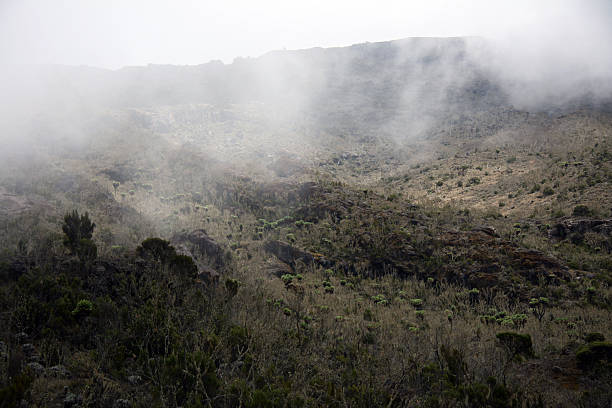 kilimanjaro trekking package breakdown
