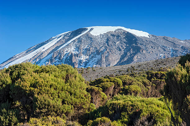 kilimanjaro mount package deals