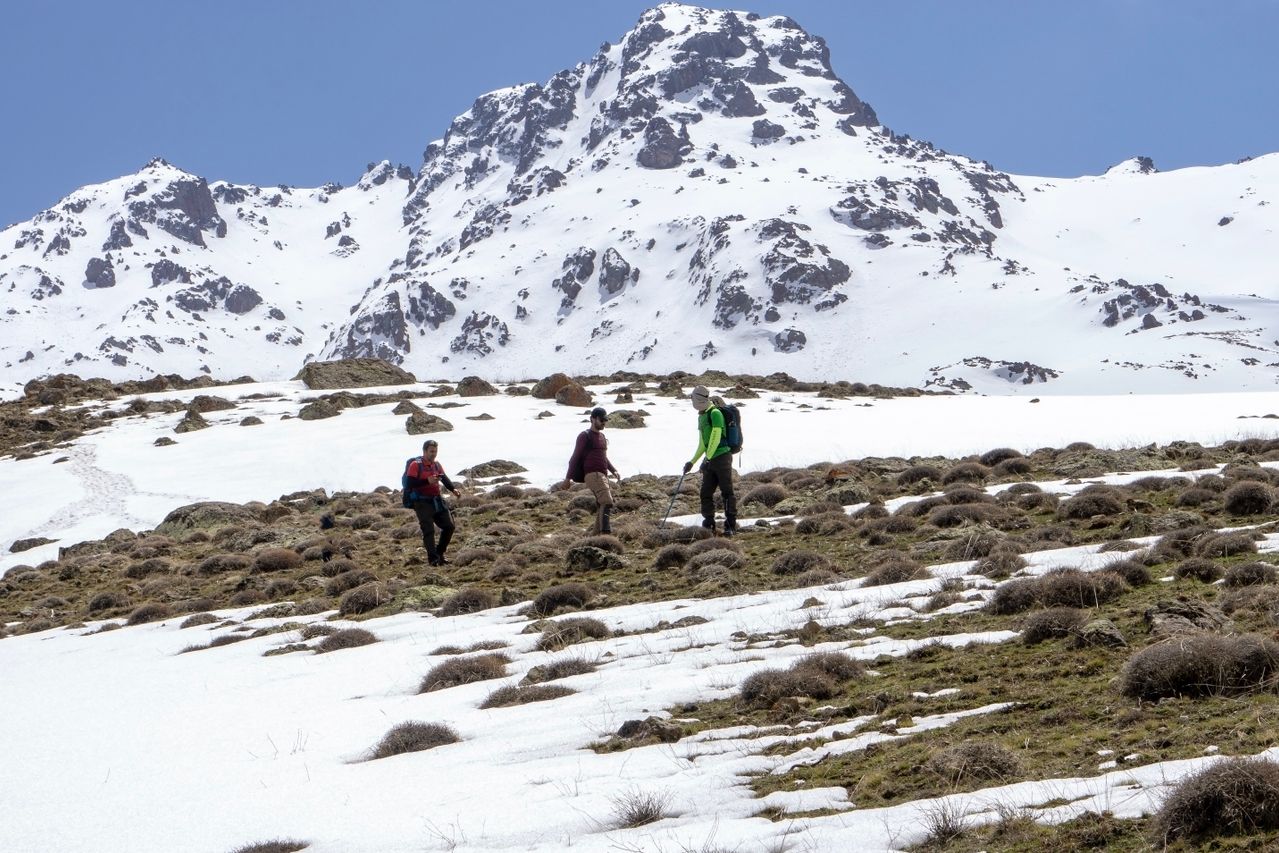climb mount kenya