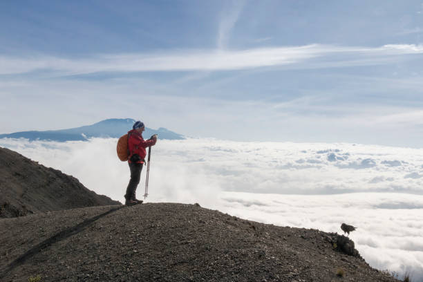 kilimanjaro africa trekking 
