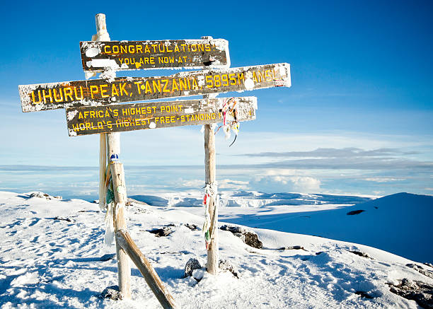 kilimanjaro success rate 