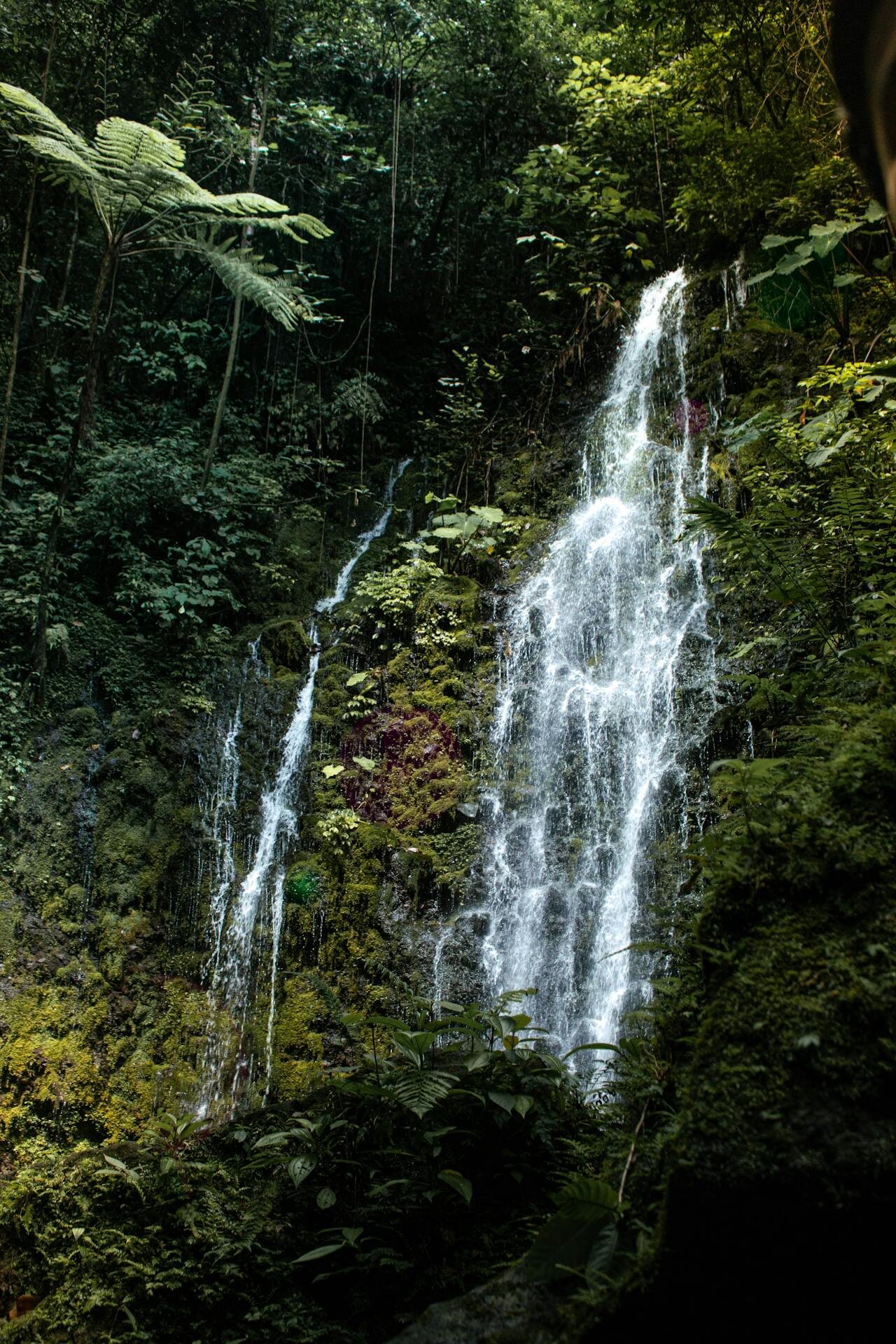 ngare sero waterfall day trip arusha tanzania