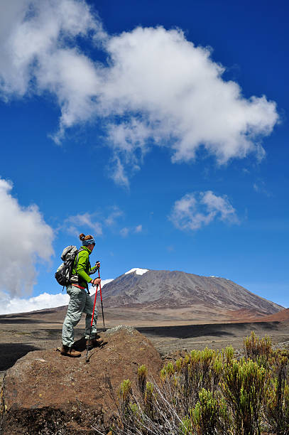 rongai route kilimanjaro