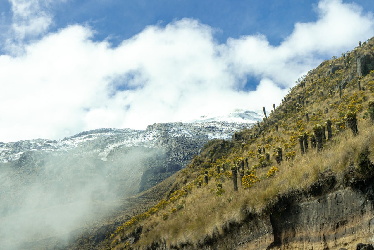 mount meru camping experience
